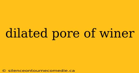 dilated pore of winer