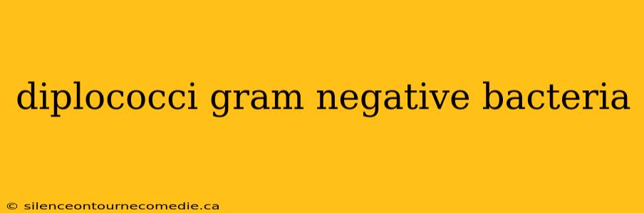 diplococci gram negative bacteria
