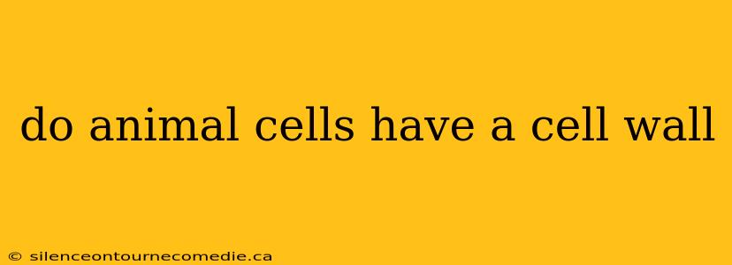 do animal cells have a cell wall