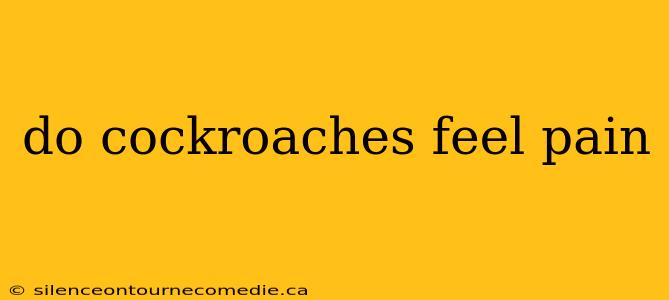 do cockroaches feel pain