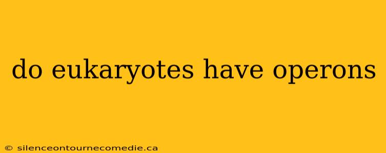 do eukaryotes have operons