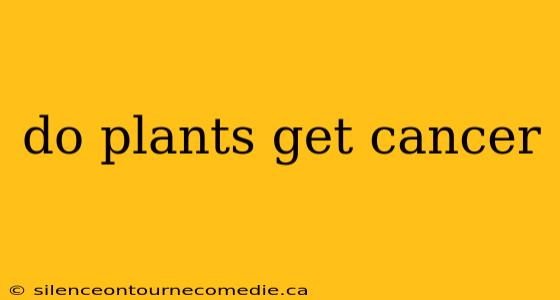 do plants get cancer