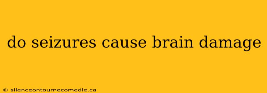 do seizures cause brain damage