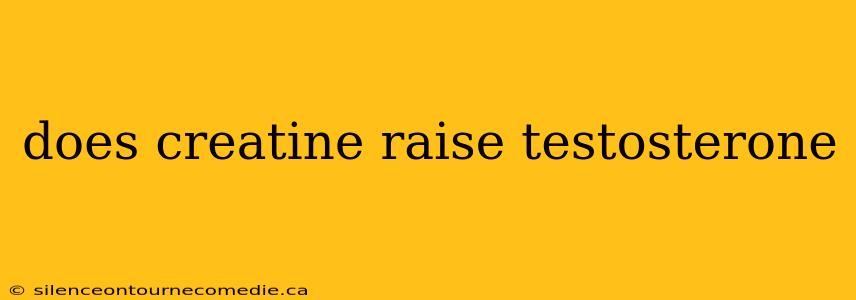 does creatine raise testosterone