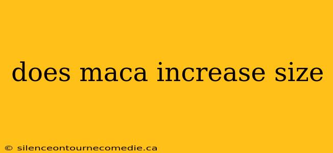 does maca increase size