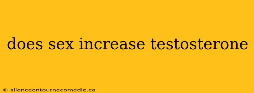 does sex increase testosterone