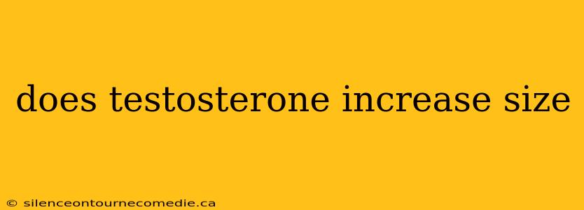 does testosterone increase size