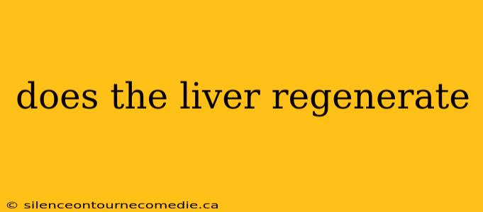 does the liver regenerate