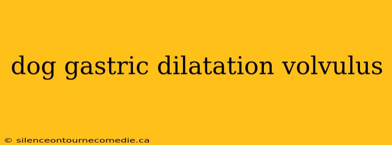 dog gastric dilatation volvulus