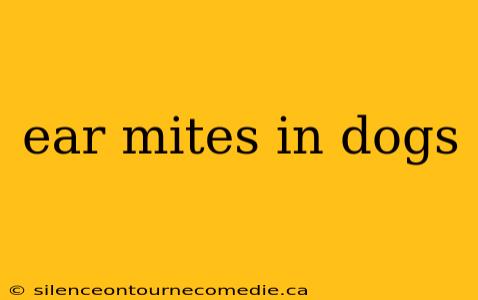 ear mites in dogs