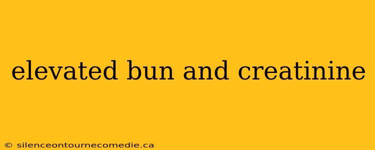 elevated bun and creatinine