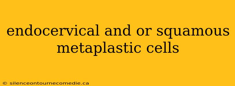endocervical and or squamous metaplastic cells