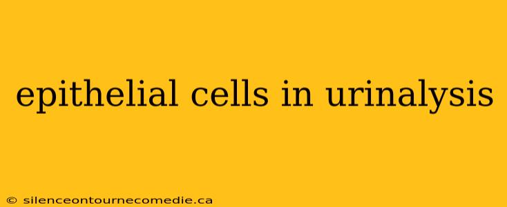 epithelial cells in urinalysis