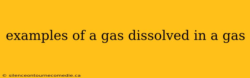 examples of a gas dissolved in a gas