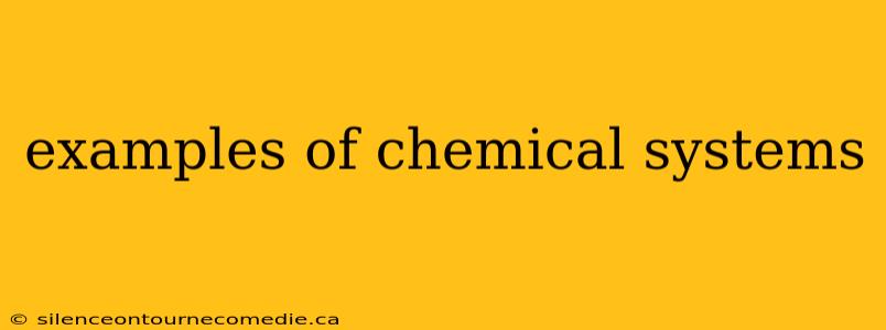 examples of chemical systems