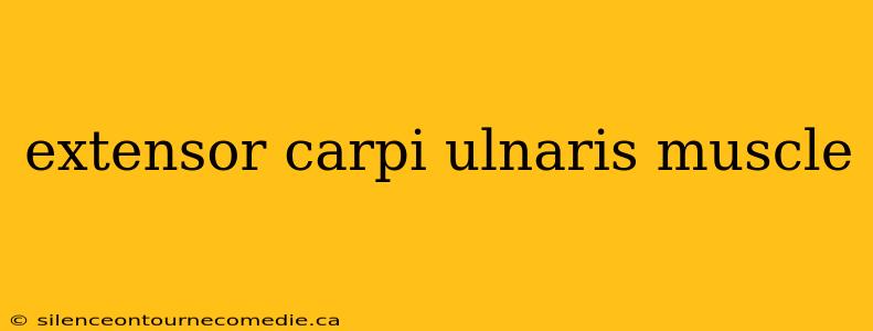 extensor carpi ulnaris muscle