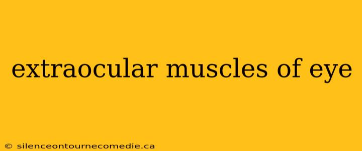 extraocular muscles of eye