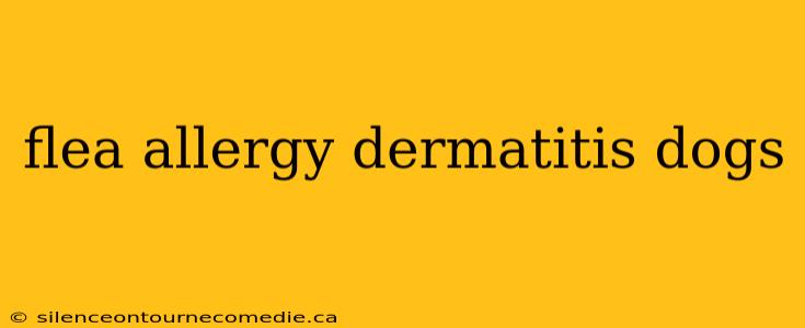 flea allergy dermatitis dogs