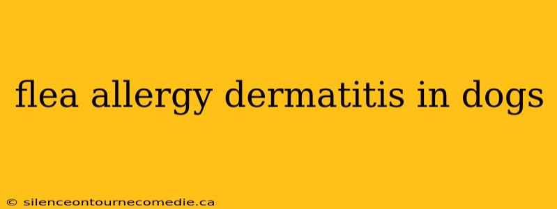 flea allergy dermatitis in dogs