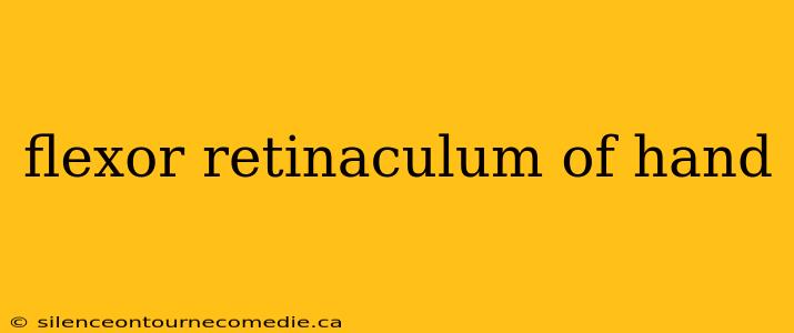 flexor retinaculum of hand