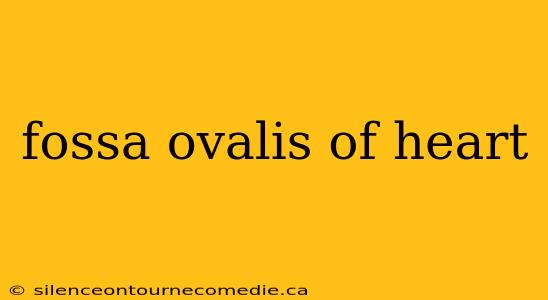 fossa ovalis of heart