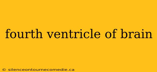 fourth ventricle of brain