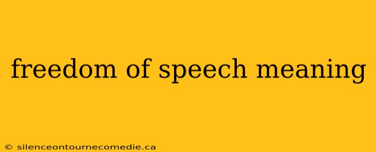 freedom of speech meaning