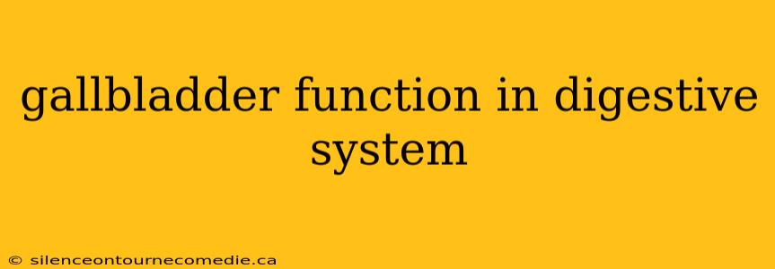 gallbladder function in digestive system