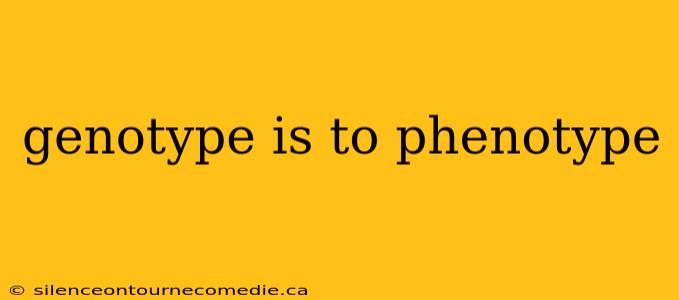 genotype is to phenotype