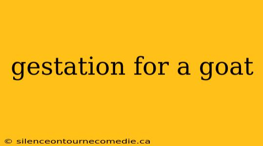 gestation for a goat