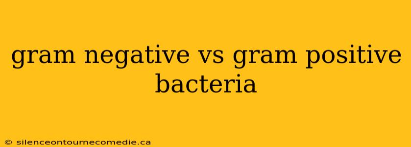 gram negative vs gram positive bacteria
