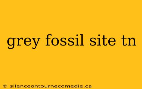 grey fossil site tn