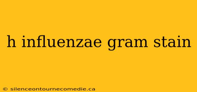 h influenzae gram stain