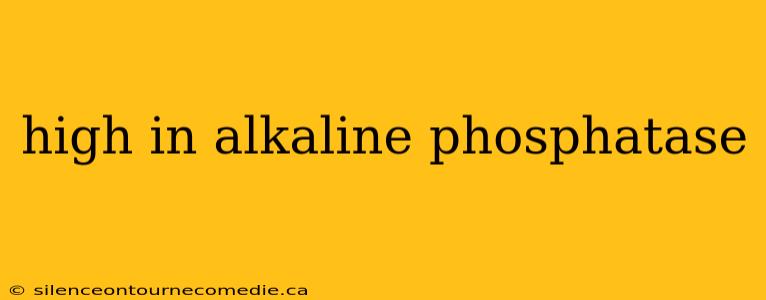 high in alkaline phosphatase