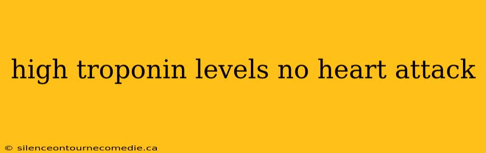 high troponin levels no heart attack