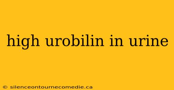 high urobilin in urine