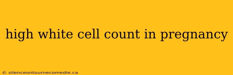 high white cell count in pregnancy
