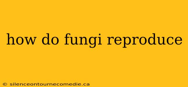 how do fungi reproduce