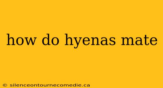how do hyenas mate
