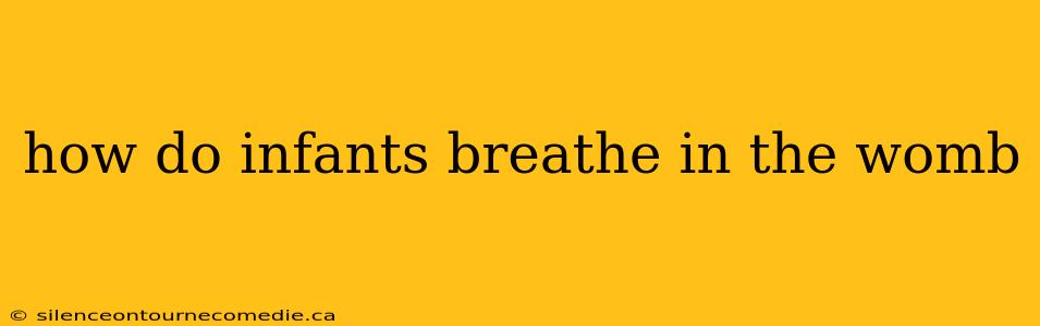 how do infants breathe in the womb