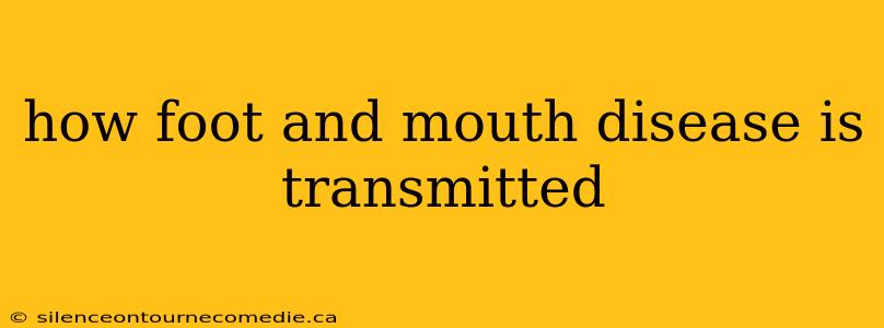 how foot and mouth disease is transmitted