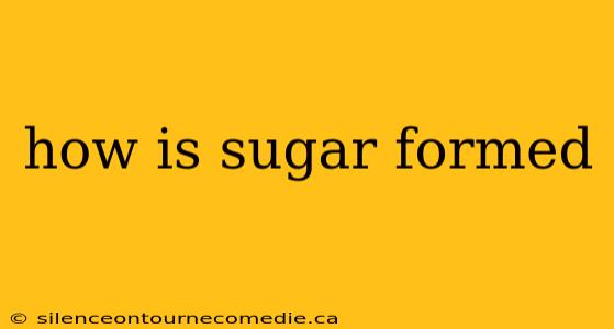 how is sugar formed