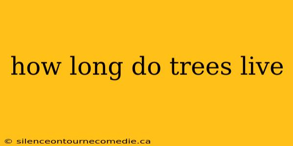 how long do trees live