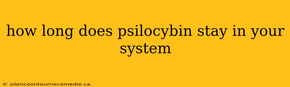 how long does psilocybin stay in your system