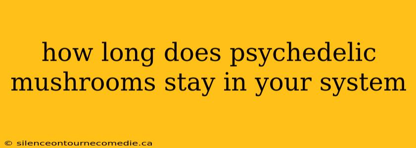 how long does psychedelic mushrooms stay in your system