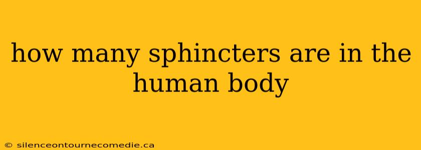 how many sphincters are in the human body