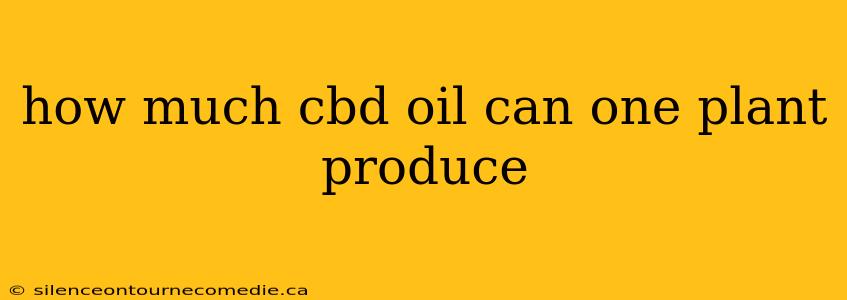 how much cbd oil can one plant produce