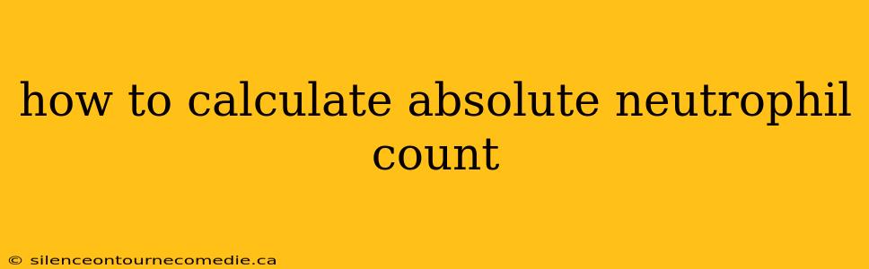 how to calculate absolute neutrophil count