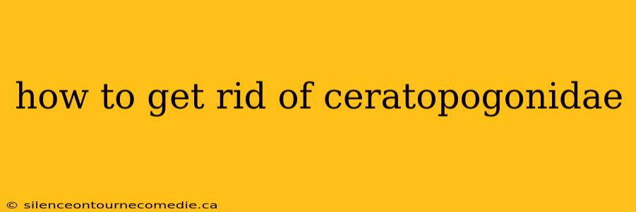 how to get rid of ceratopogonidae