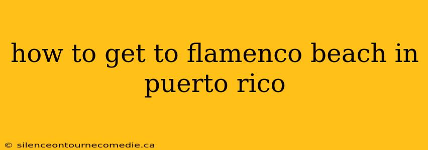how to get to flamenco beach in puerto rico